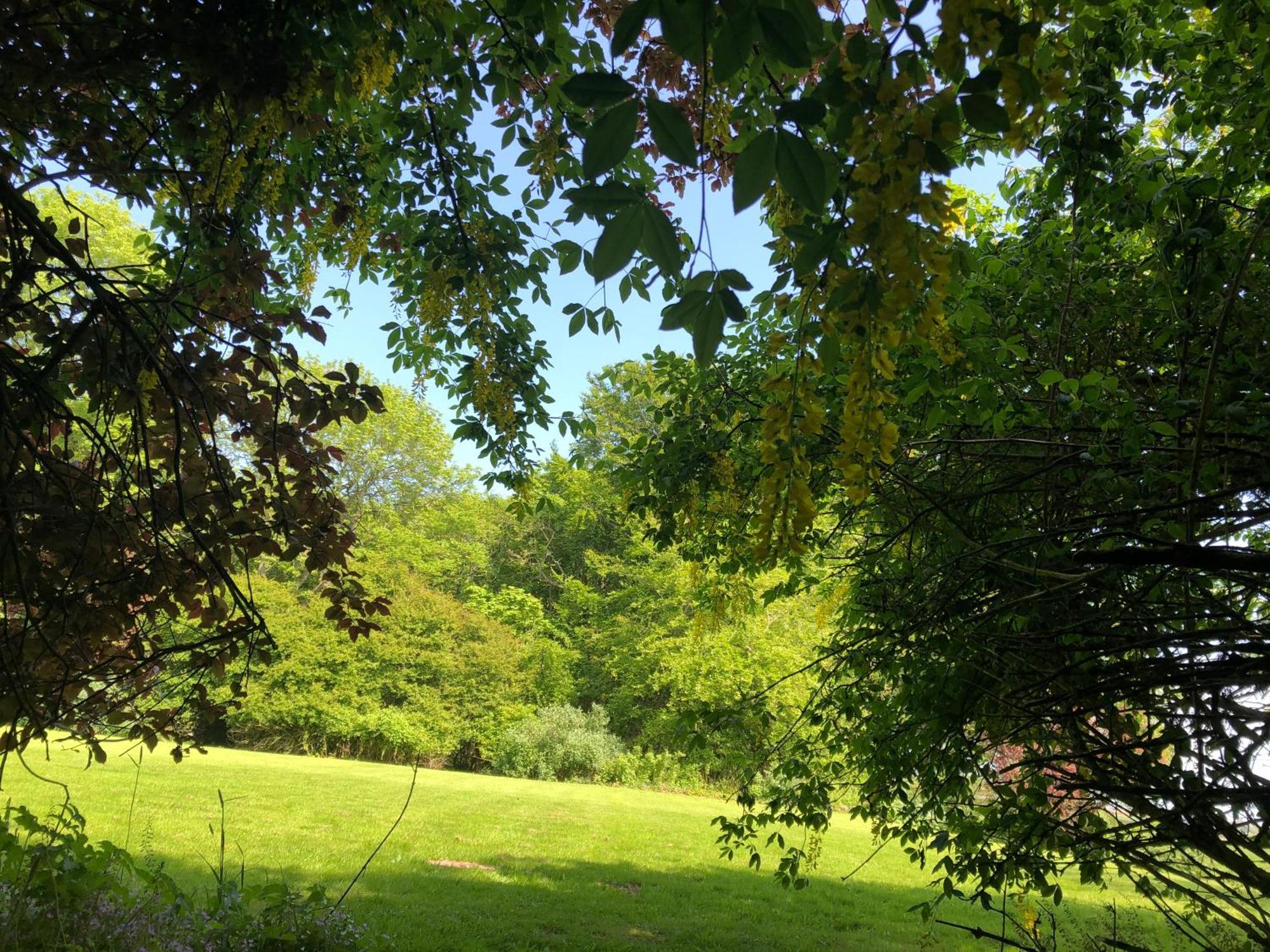 Forse Of Nature Latheron Exterior photo